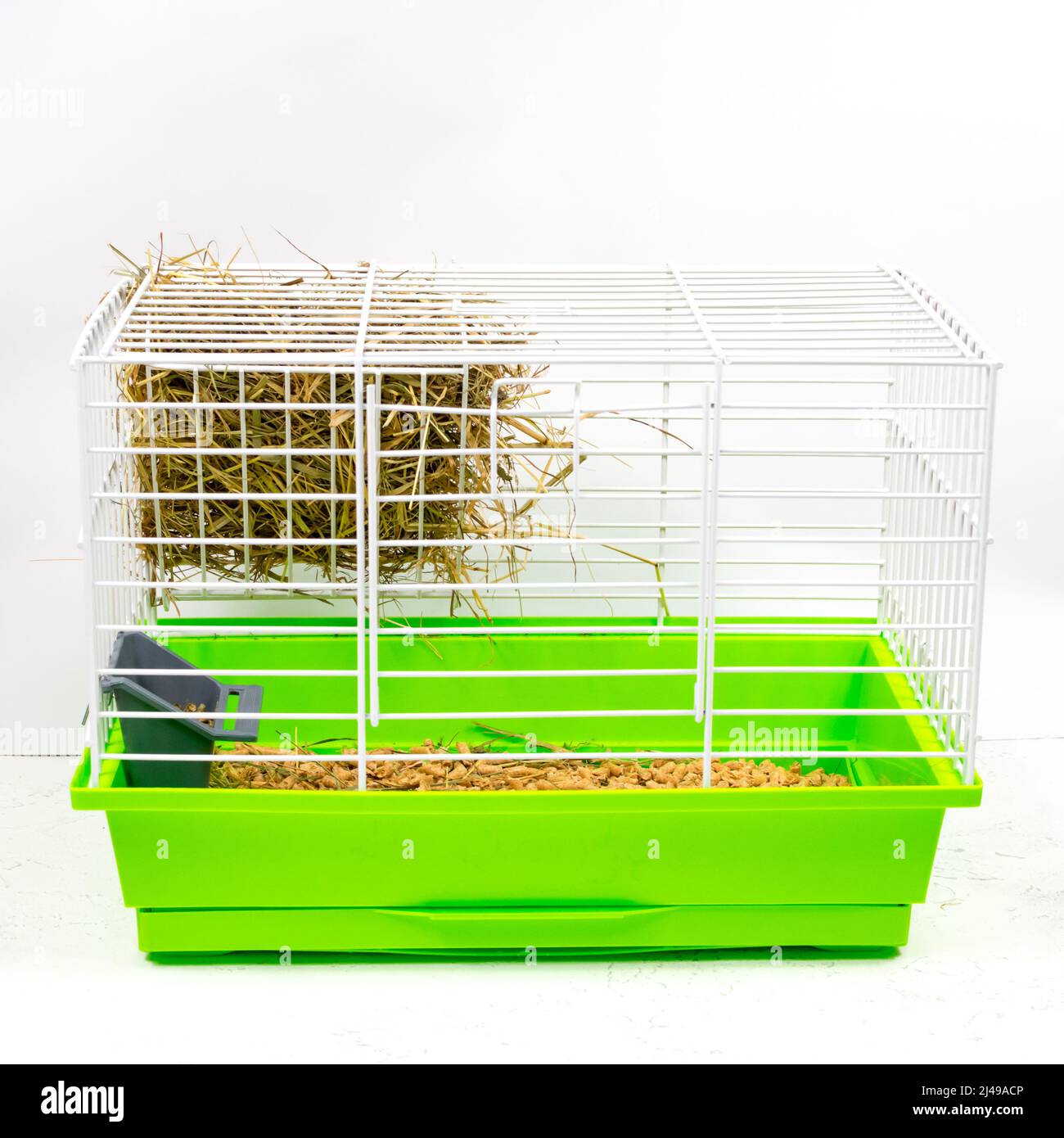 Pet cage with green pallet of shavings, sawdust, feed, hay and hay. Keeping pets in cages. Side view. Stock Photo