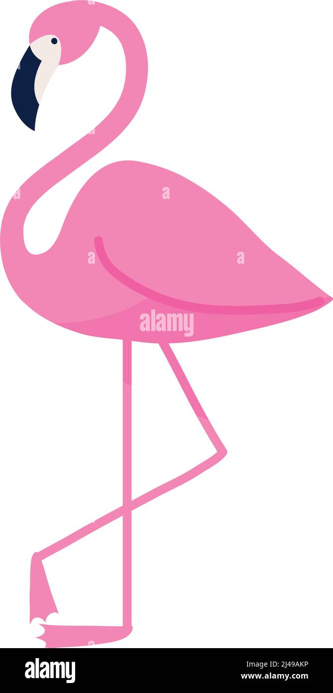 flamingo bird icon Stock Vector Image & Art - Alamy
