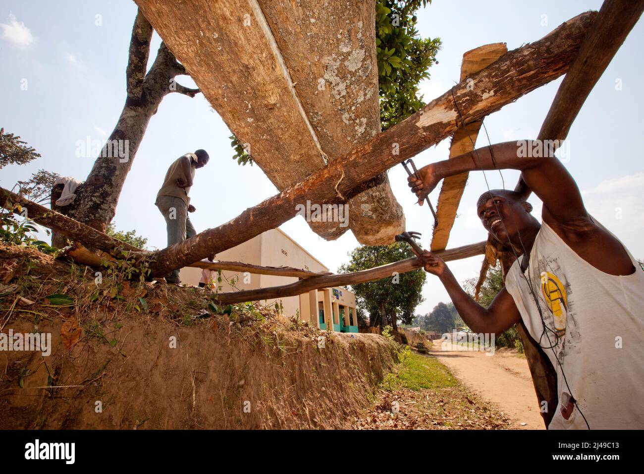 Damascene (below) and Sibomane, carpenters, Kivuruga sector, Gakenke district. These carpenters will cut 7 planks from this trunk in three hours.  Photograph by Mike Goldwater Stock Photo