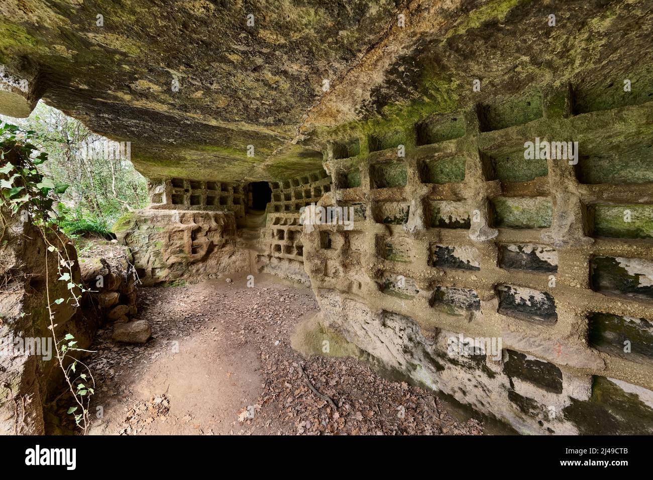 Etruscan necropolis, Parco Archeologico Città del Tufo, Necropoli di Sovana, Tuscany, Italy Stock Photo