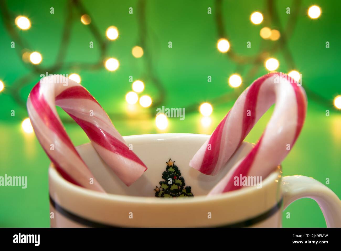 Christmas candy canes in cup on white background Stock Photo - Alamy