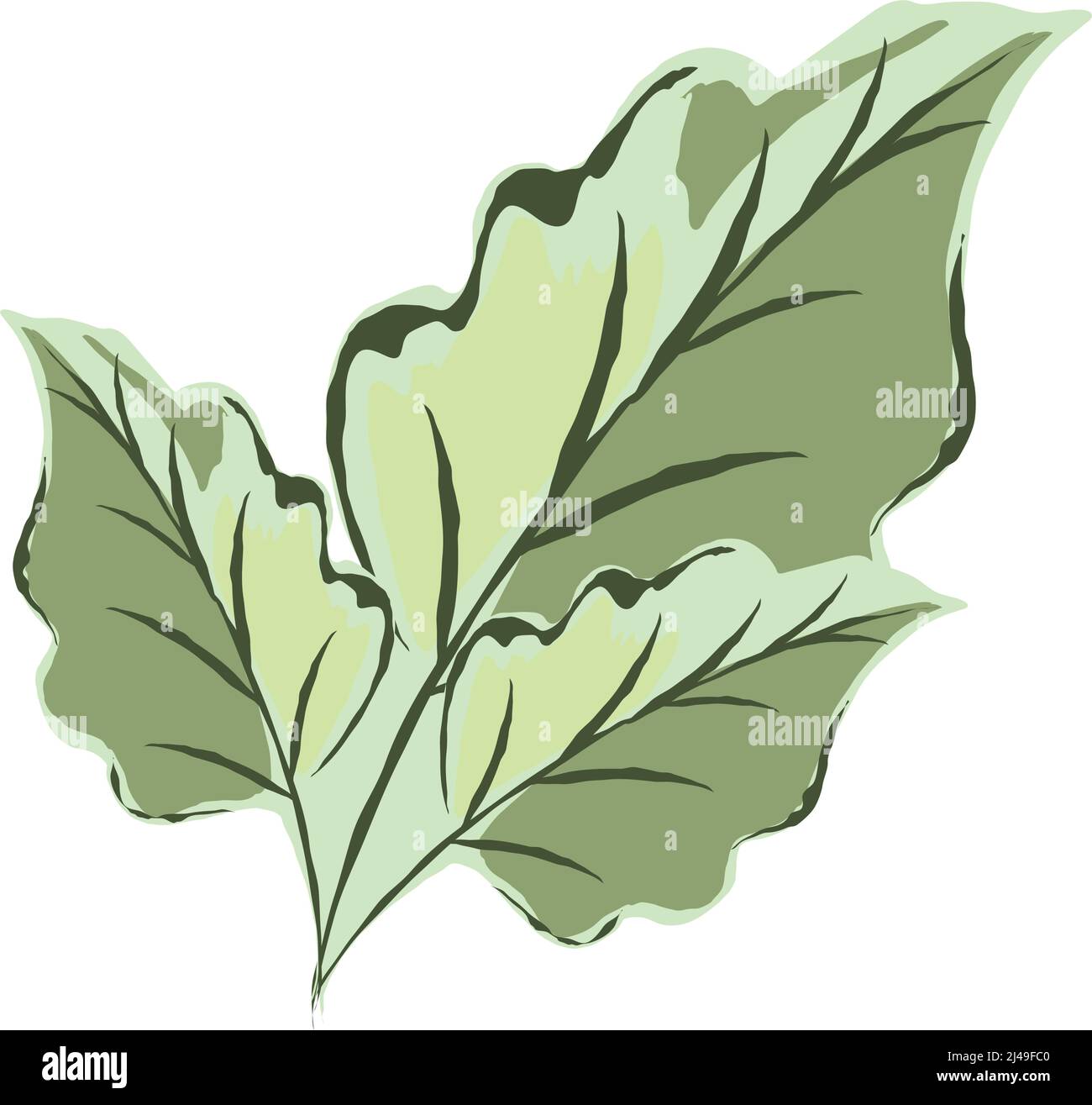 nature leaves icon Stock Vector Image & Art - Alamy