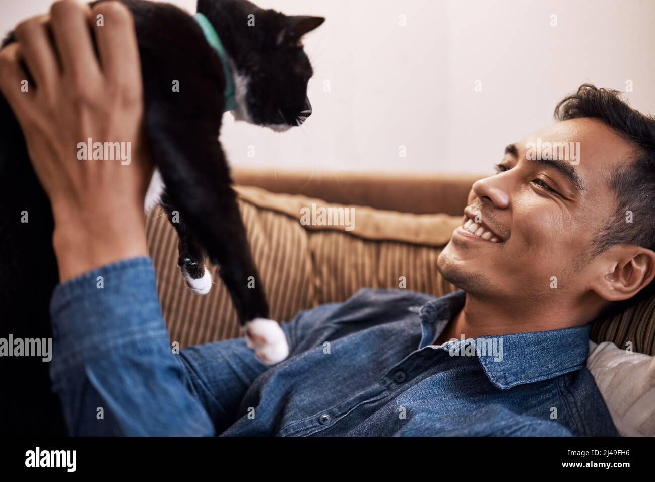 Adult cat young man hi-res stock photography and images - Alamy