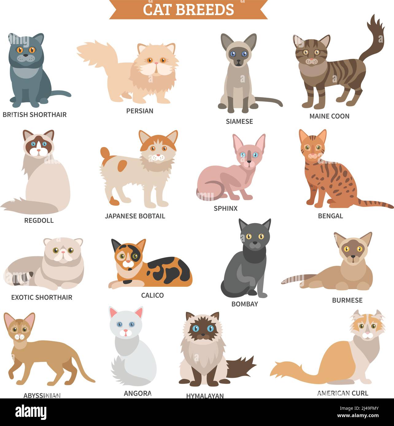 Cat breed flat icons set with cute animal characters isolated vector illustration Stock Vector