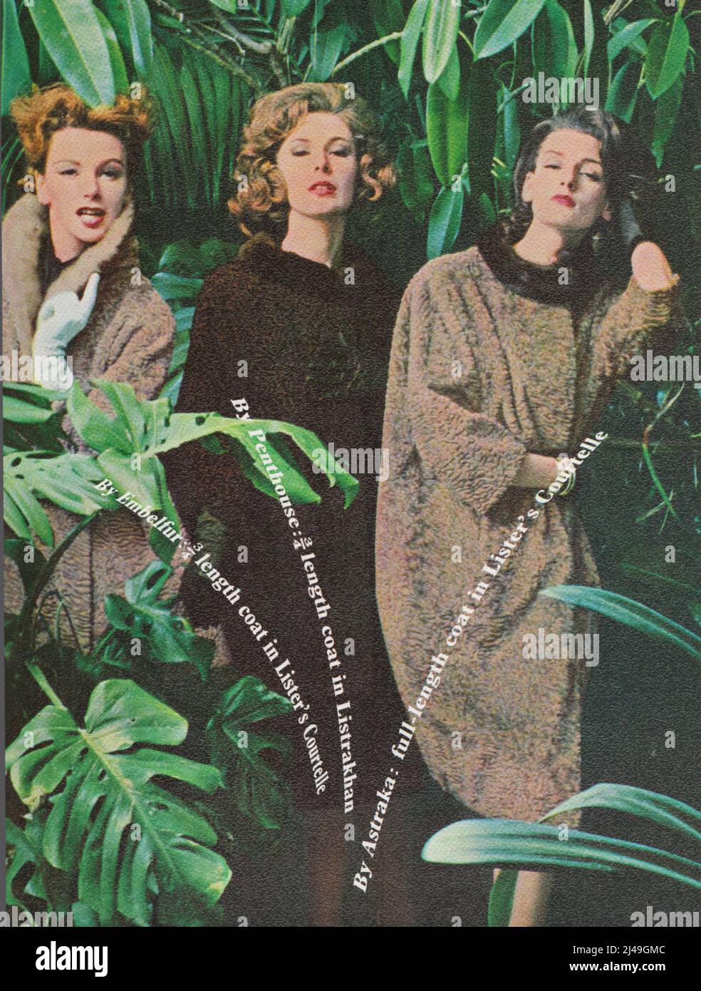 Lister & Co Ltd Bradford vintage fashion advertisement advert coats hats leopard coat 1960s winter coat Stock Photo