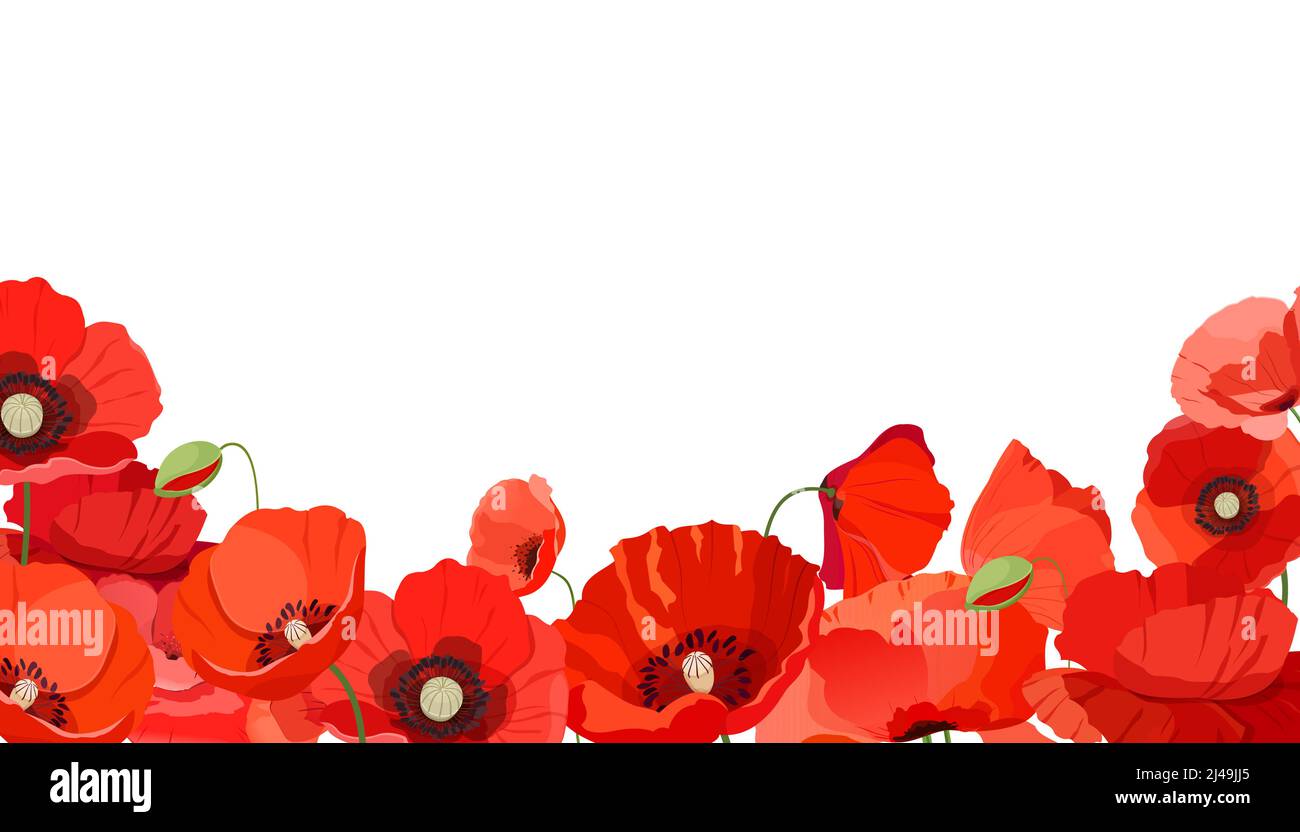 Horizontal background with realistic red poppies Stock Vector