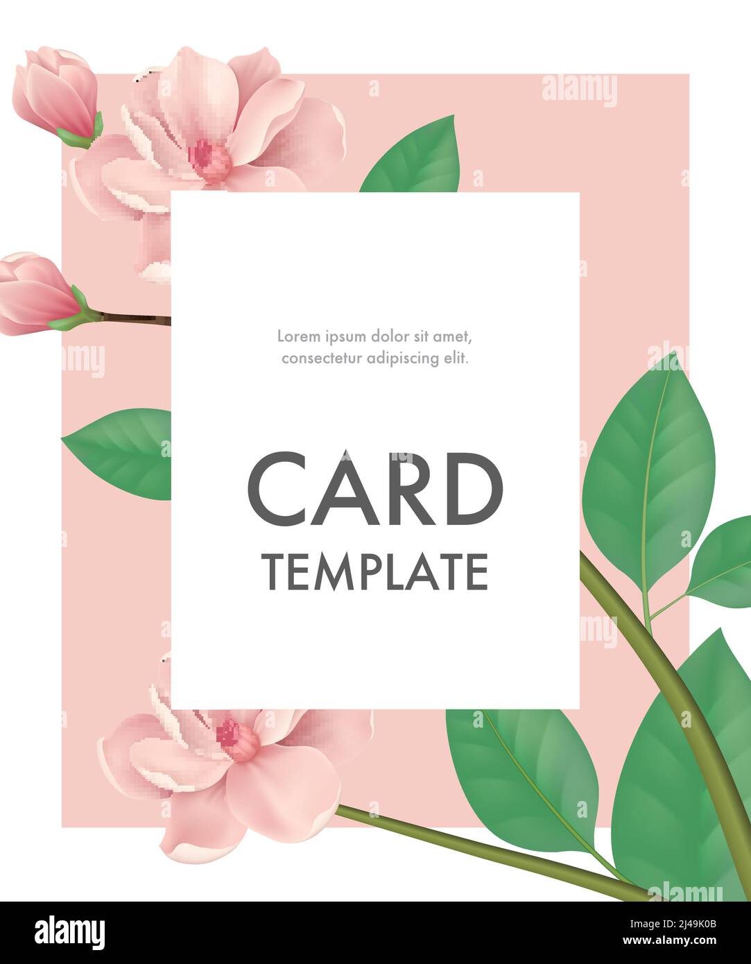 Greeting card template with cherry flowers on pink background with ...