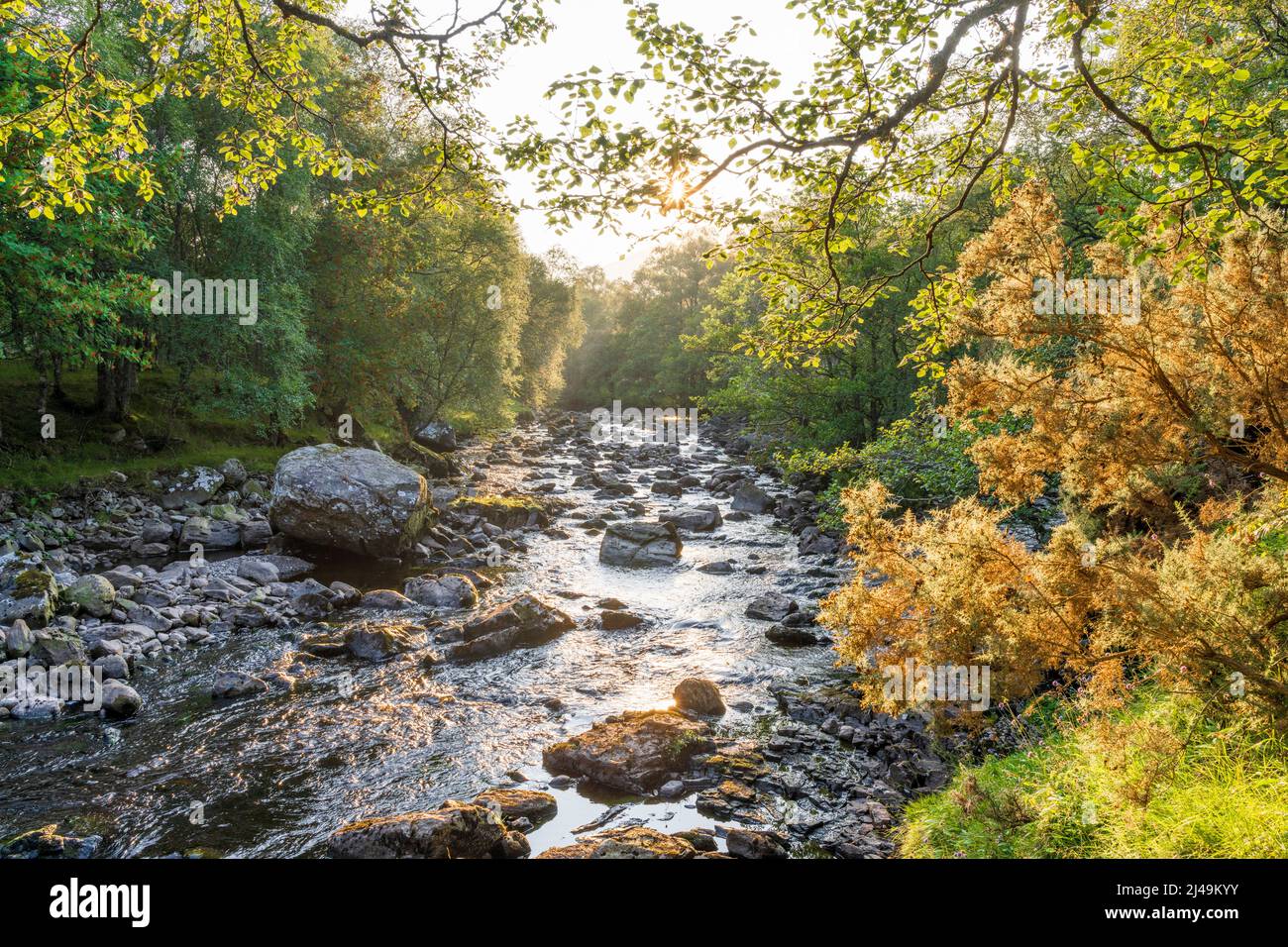 river north esk in autumnal colours, glen esk, angus Stock Photo