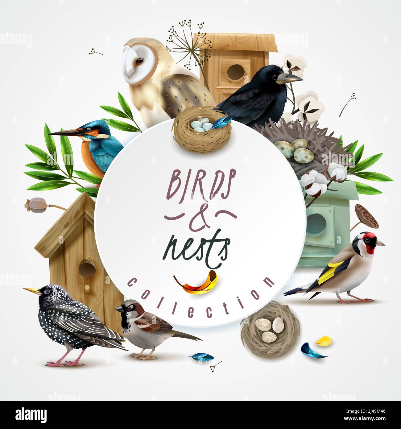 Their nests Stock Vector Images Alamy