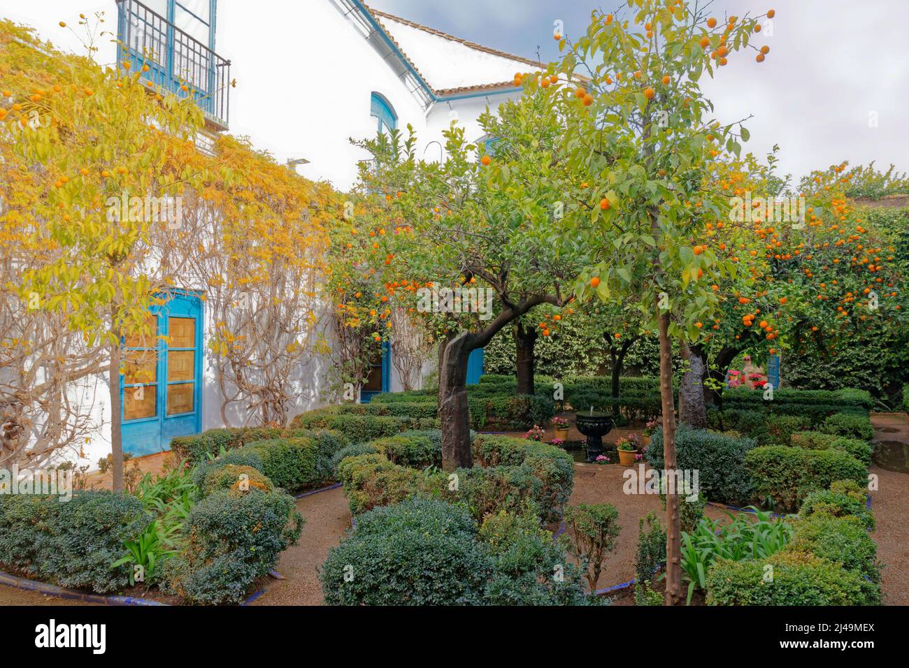 VIANA PALACE GARDENS CORDOBA SPAIN EXTERIOR PATIO GARDEN WITH ORANGE TREES Stock Photo