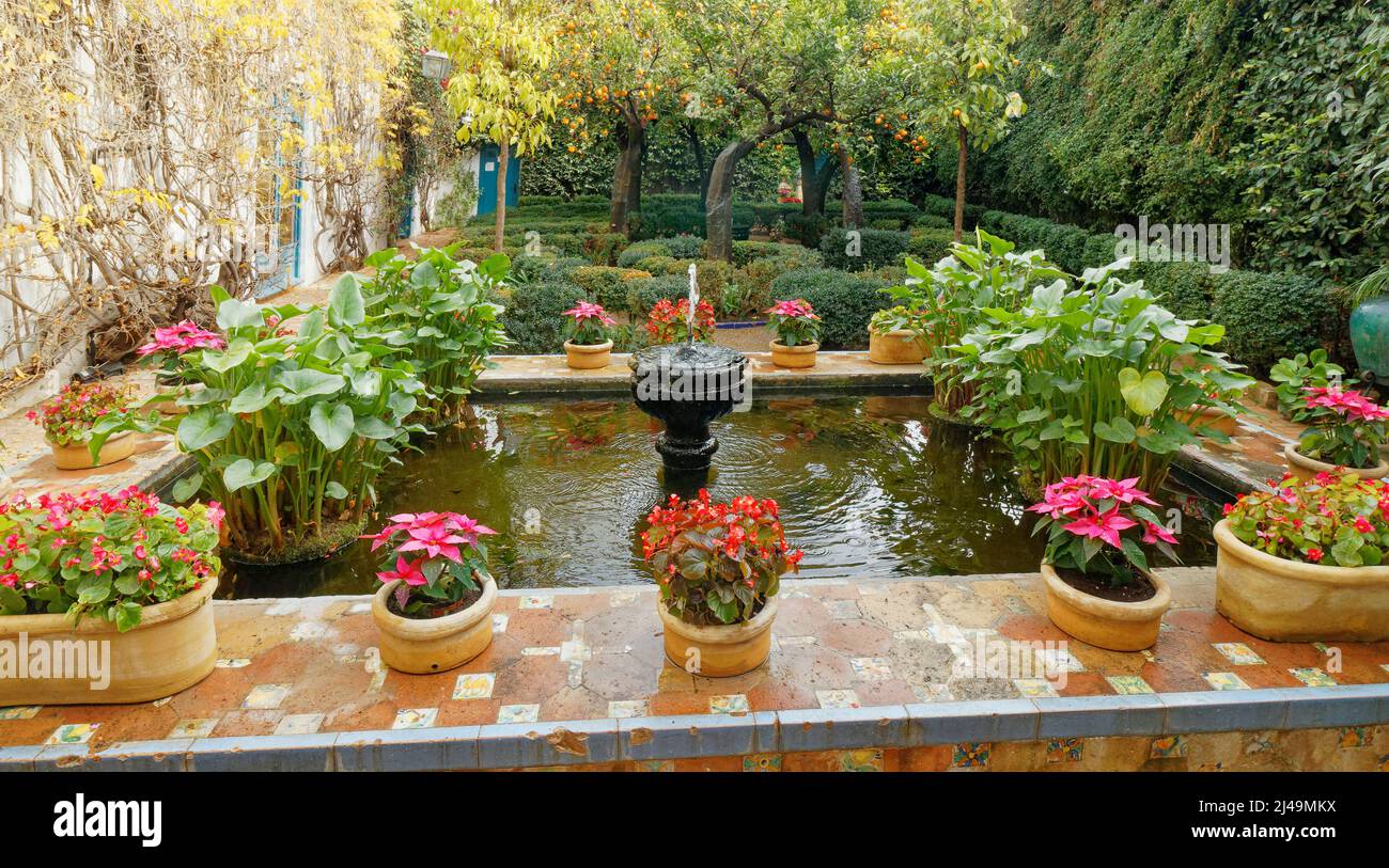 VIANA PALACE GARDENS CORDOBA SPAIN PATIO GARDEN THE COURTYARD OF THE ORANGES POTS WITH COLOURFUL FLOWERS Stock Photo