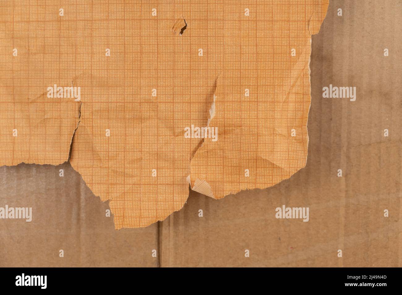 Texture Millimeter graph paper. Paper for drawing, design, engineering ...