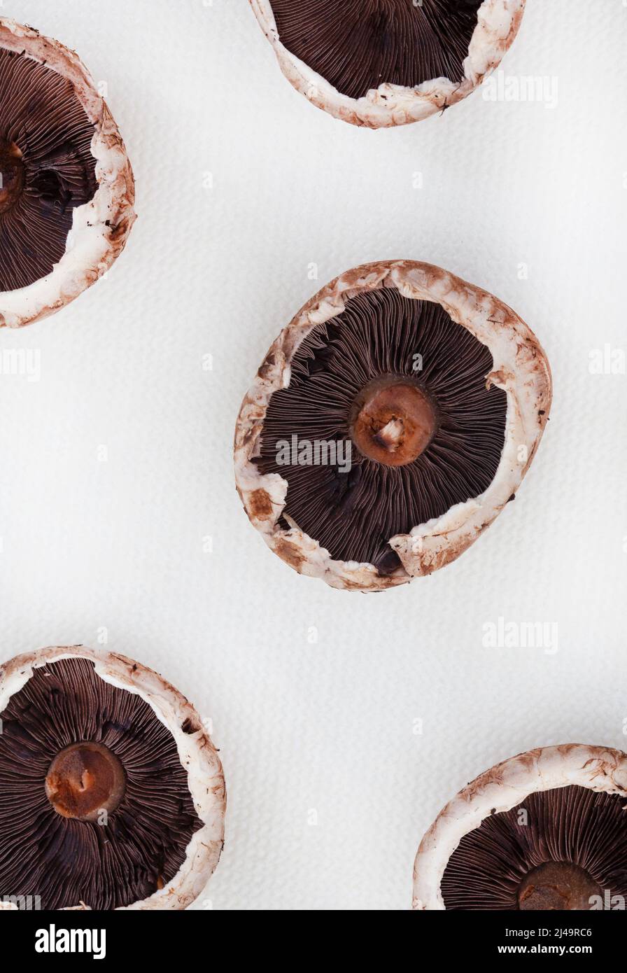 flat lay of Portobello mushrooms on white surface with copy space Stock