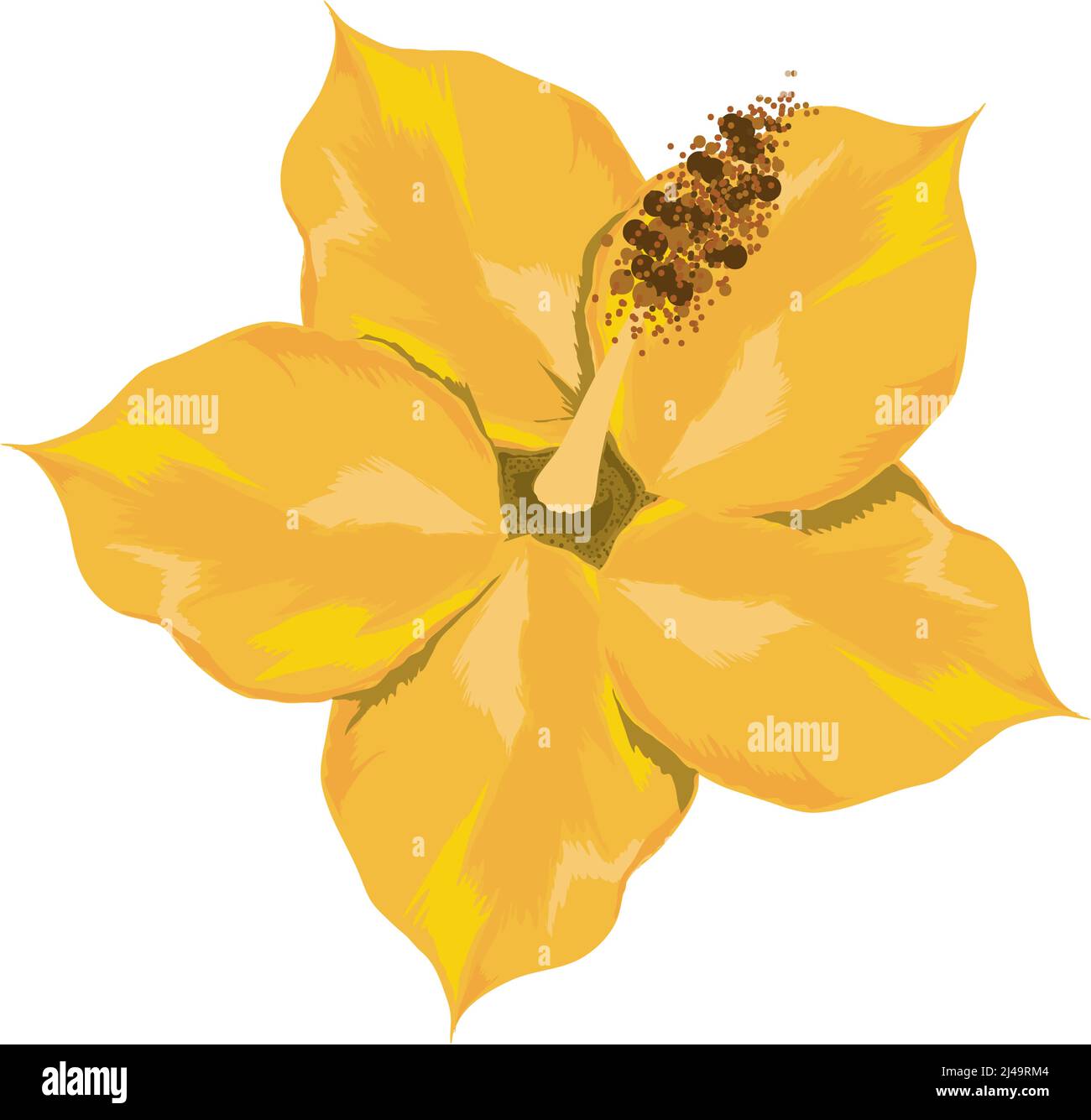 flower vector icon Stock Vector Image & Art - Alamy