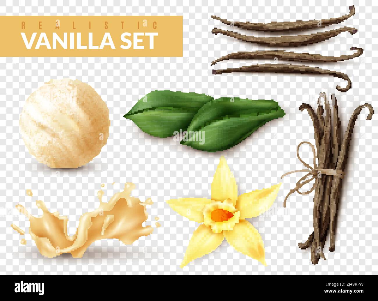 Vanilla realistic set with ice cream scoop shake splash flower dried beans leaves transparent background vector illustration Stock Vector