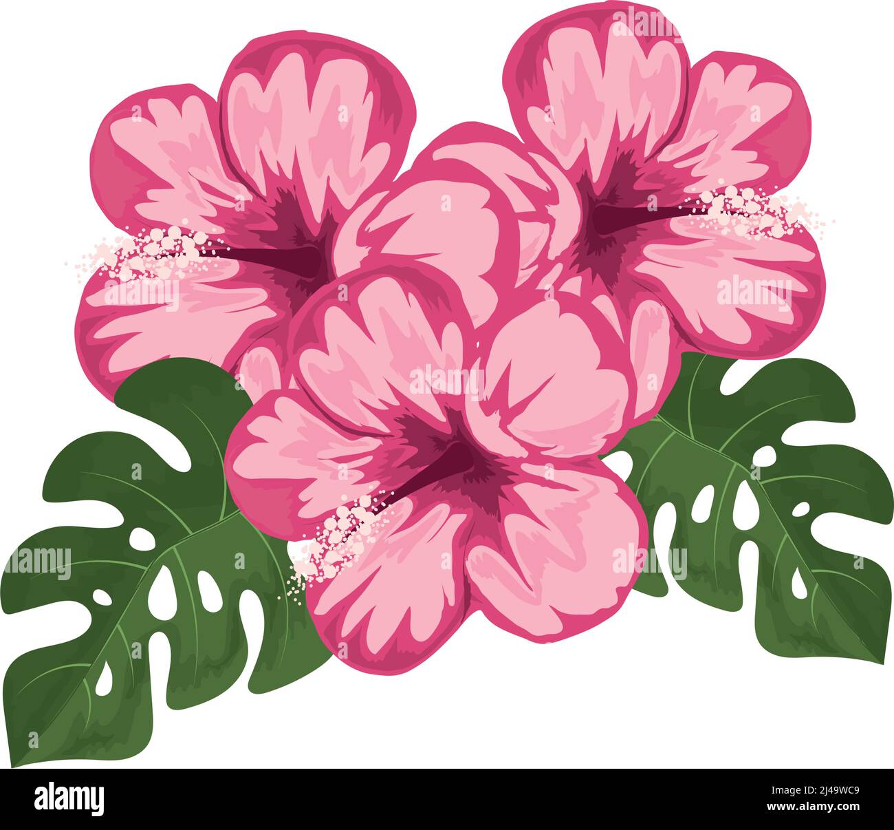 exotic flowers and leaves Stock Vector Image & Art - Alamy