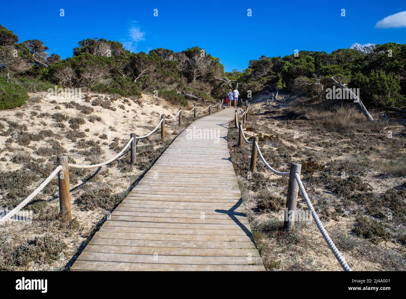 Wooden walkway next to Platja Es Cavall d´en borras beach, Formentera, Balearic islands, Spain. Stock Photo