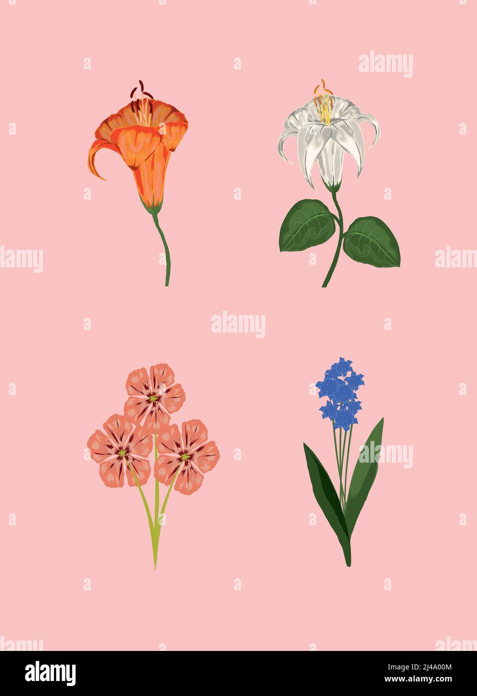 Minimal spring icons flowers hi-res stock photography and images - Alamy
