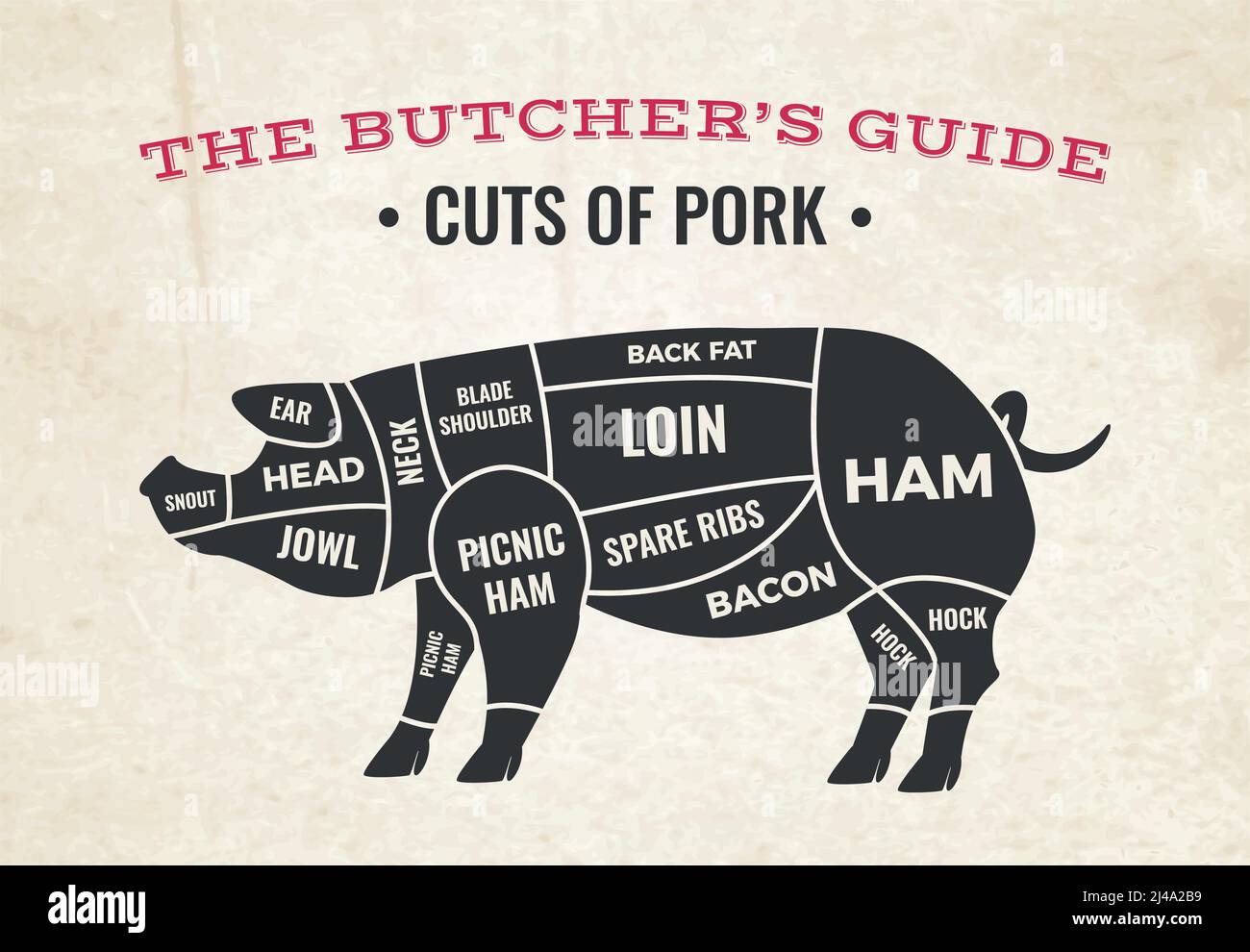 Butchery diagram with silhouette of pig and cuts of pork on background of old paper vector illustration Stock Vector