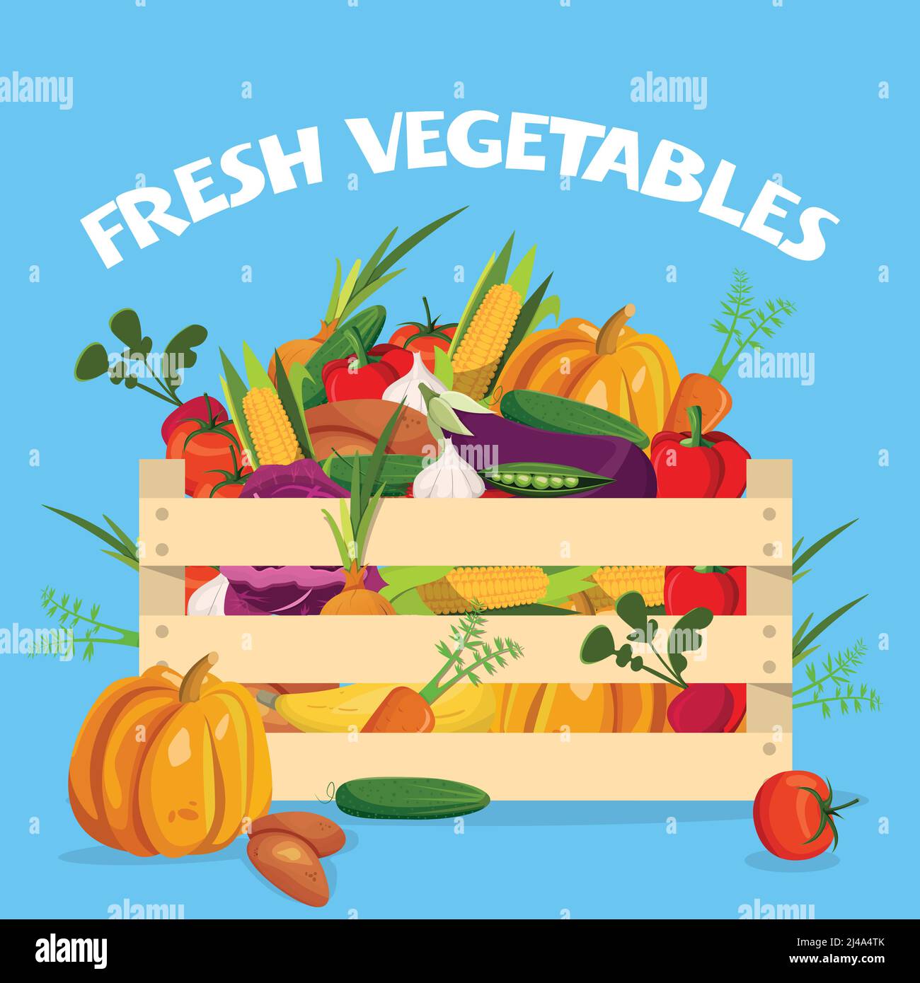 Lettuce in a box Stock Vector Images - Alamy