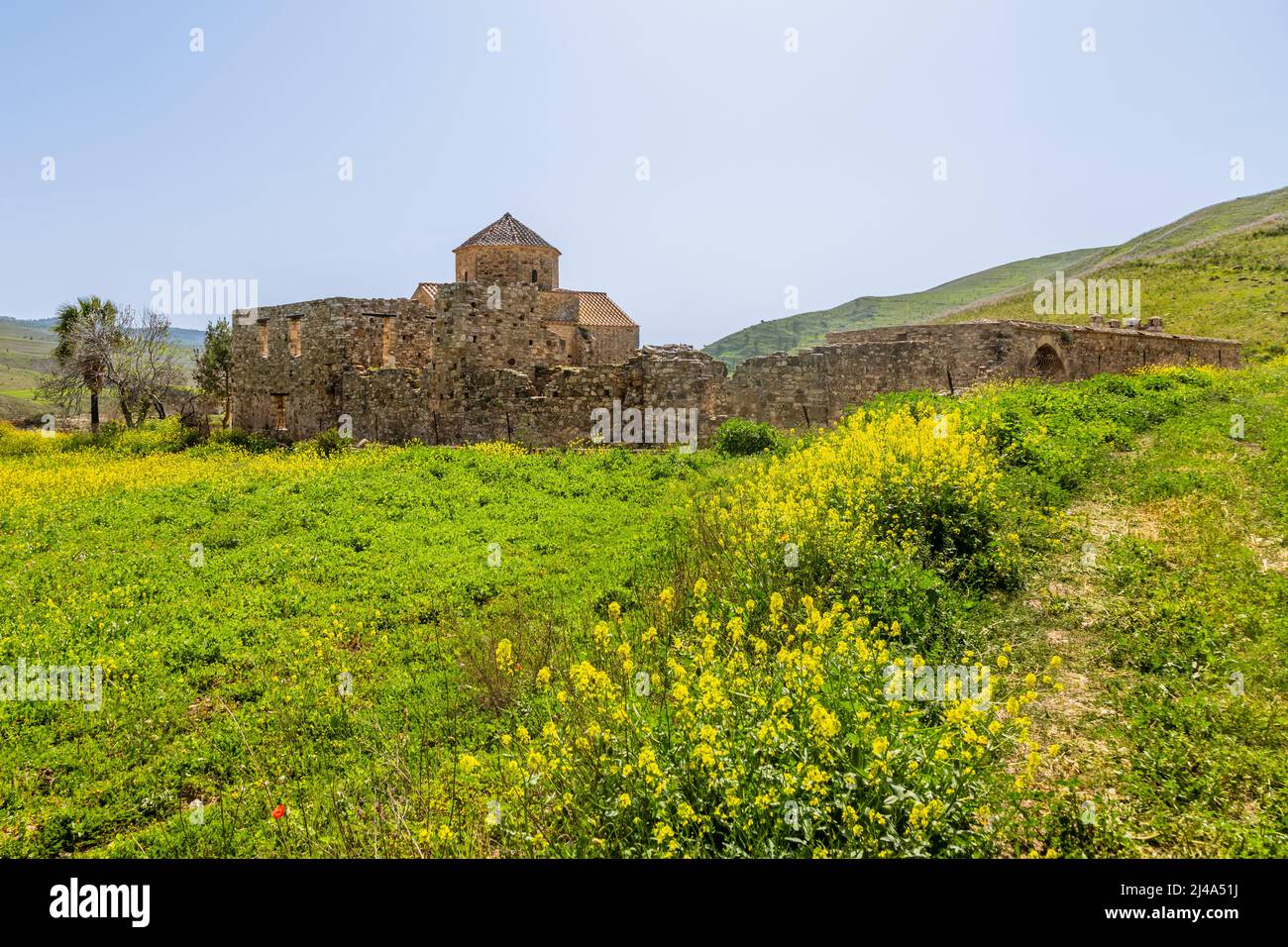 Ruins of Panagia tou Sinti ortodox Monastery with temple in the center and yellow flowers in the foreground, Cyprus Stock Photo