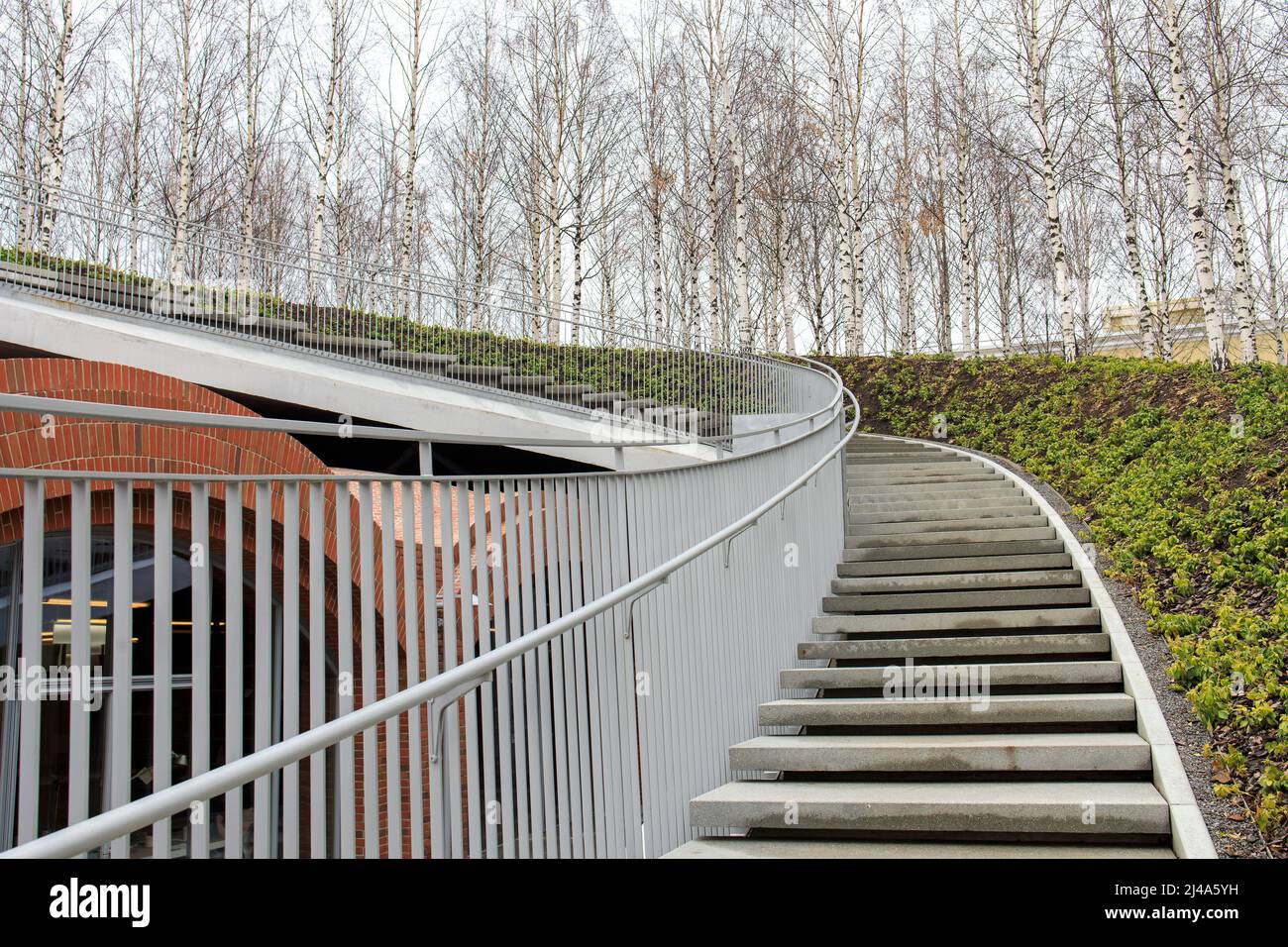 Tall modern winding staircase with railings in a birch grove Stock ...