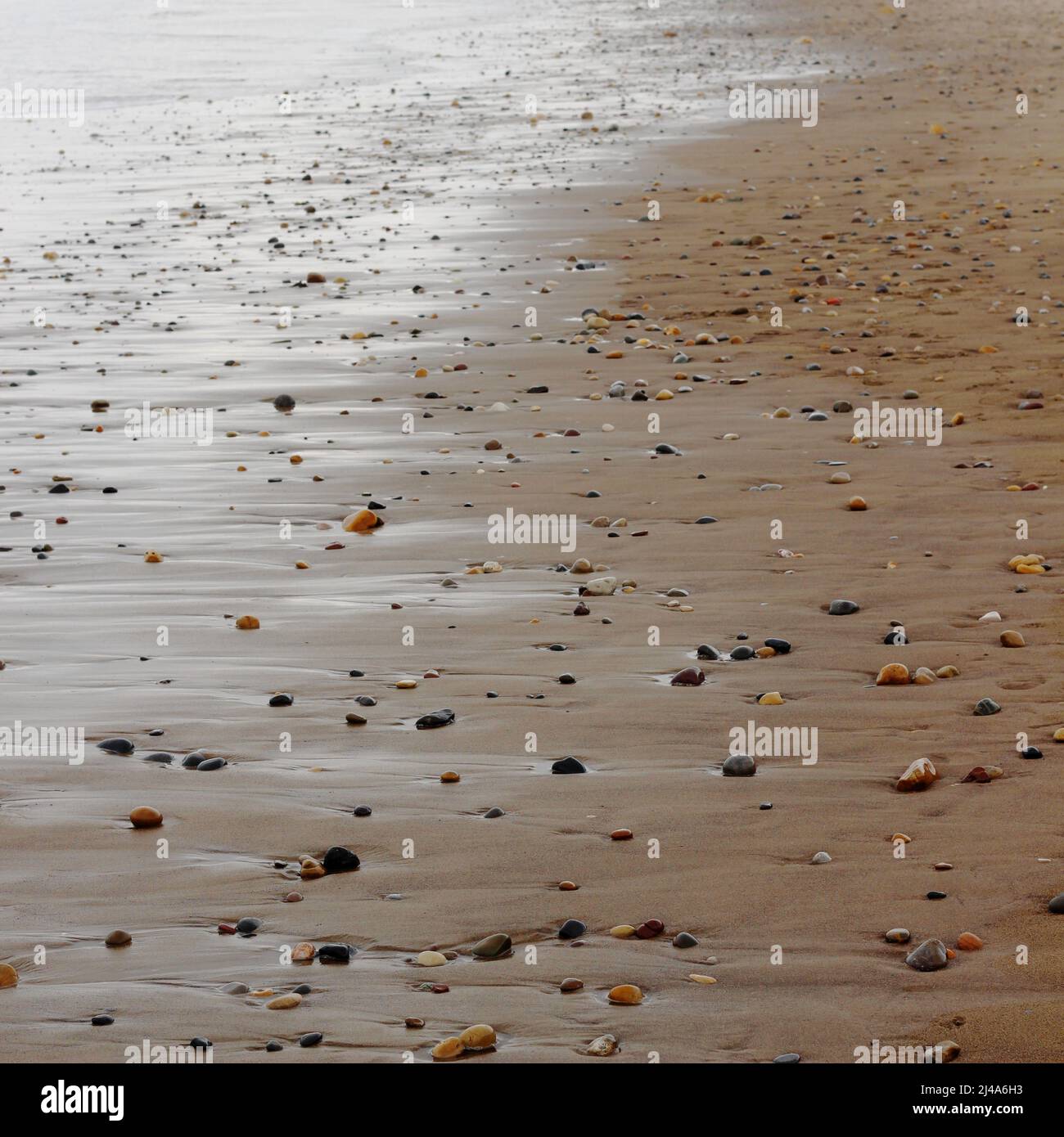 Pebbles of various types, shapes and sizes in the sand, with light reflecting on the water as it meets the shore. Sandsend beach, Yorkshire Stock Photo