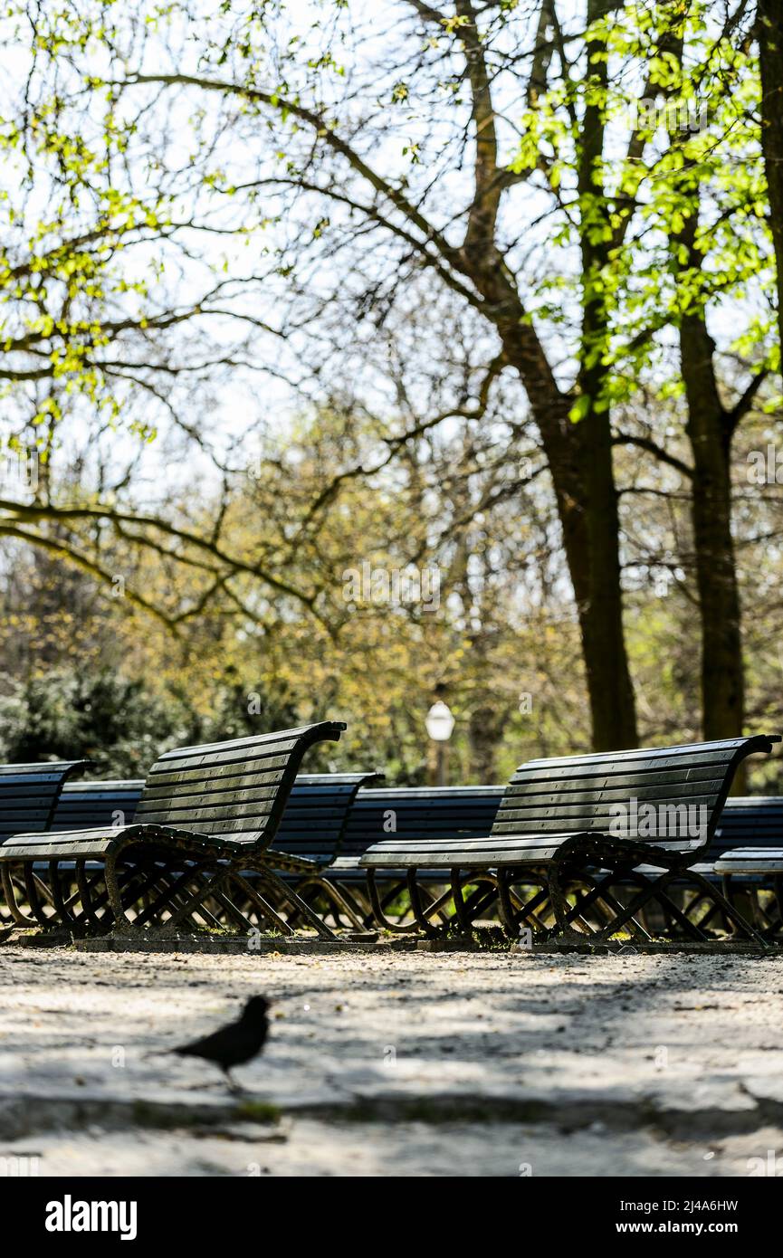 Bancs Publics dans le parc de Bruxelles |  Public Benches in the Parc of Brussels Stock Photo