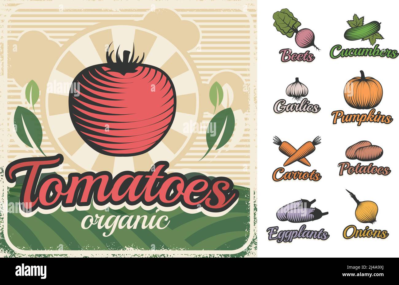 Colorful vintage style poster with different raw food vegetable symbols fresh and organic captions flat vector illustration Stock Vector