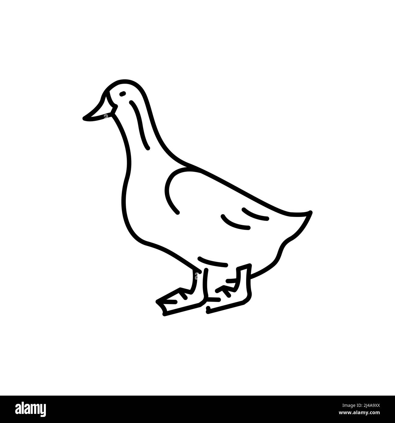 Duck bird color line icon. Pictogram for web page Stock Vector Image ...