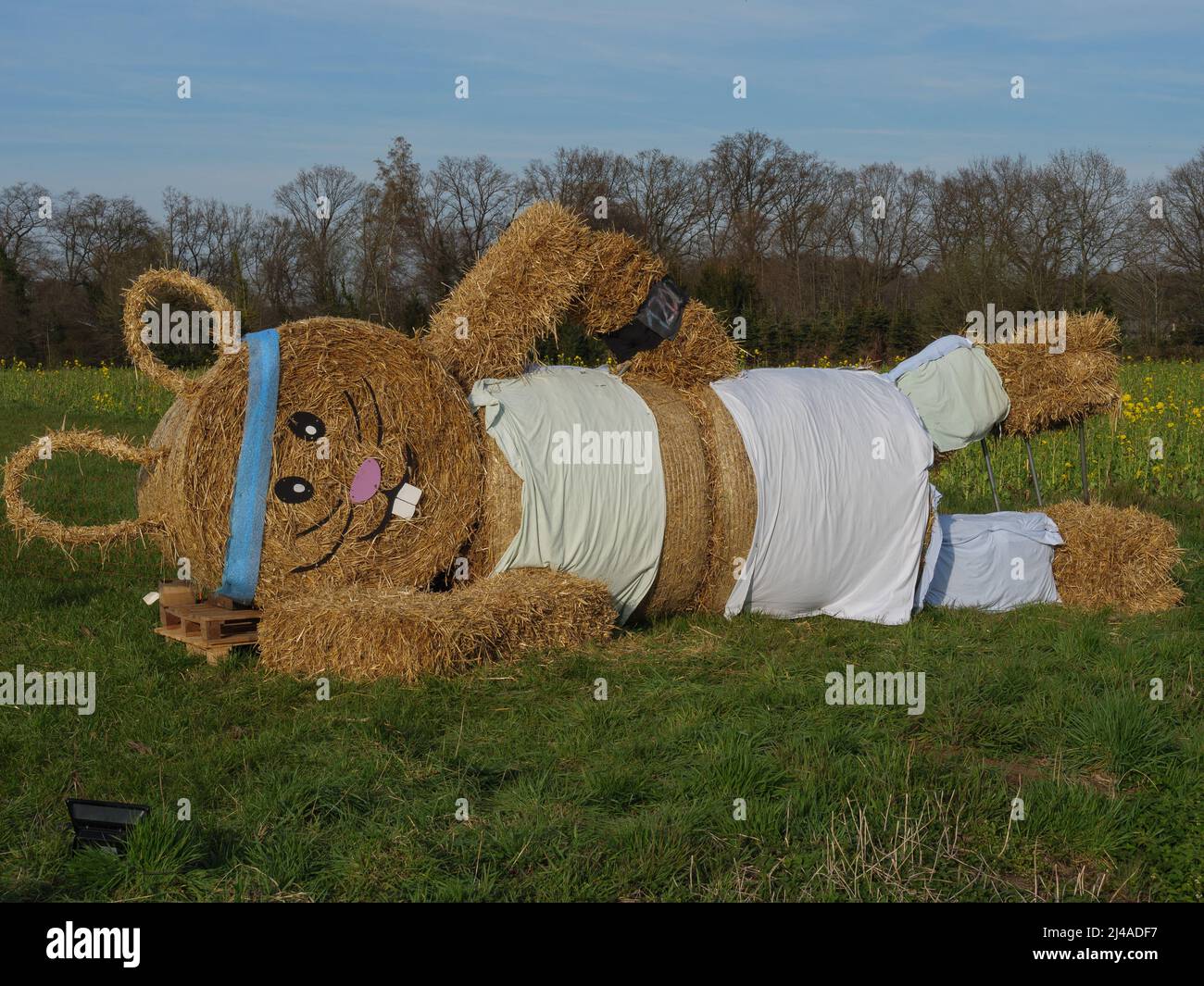 easter bunnies in the german muensterland Stock Photo Alamy