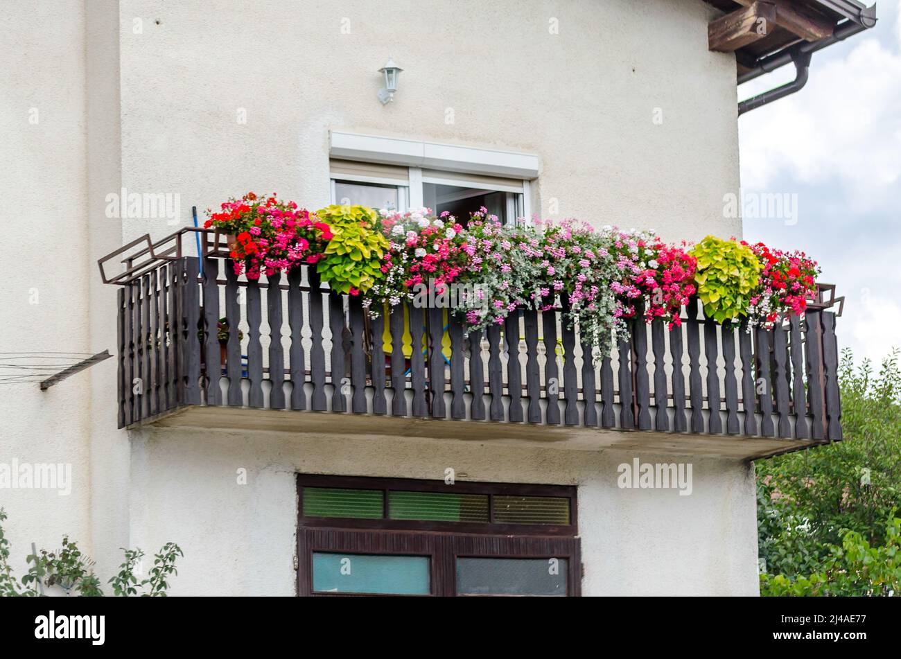 Beautiful Wooden Balcony Decorated with Colorfull Flowers in an Old Traditional House in Slovenia. Stock Photo