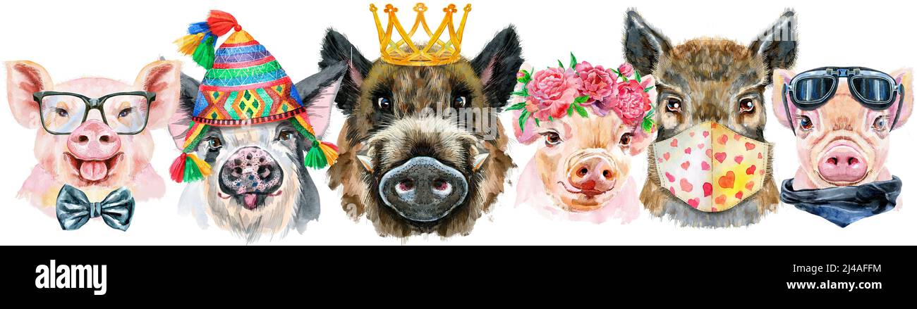 Cute border from watercolor portraits of pigs. Watercolor illustration of pigs in wreath of peonies, chullo hat, medical protective mask, glasses and Stock Photo