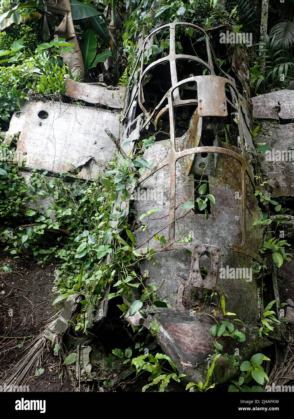 Crashed Japanese Zero fighter plane in Peleliu, Palau Stock Photo