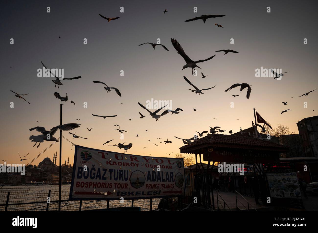 Istanbul, Turkey. 13th Apr, 2022. Seagulls flying at the harbor in ...