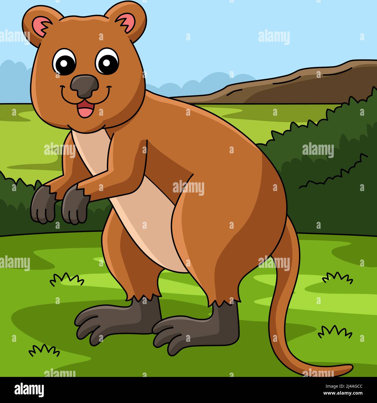 Picture platypus hi-res stock photography and images - Alamy