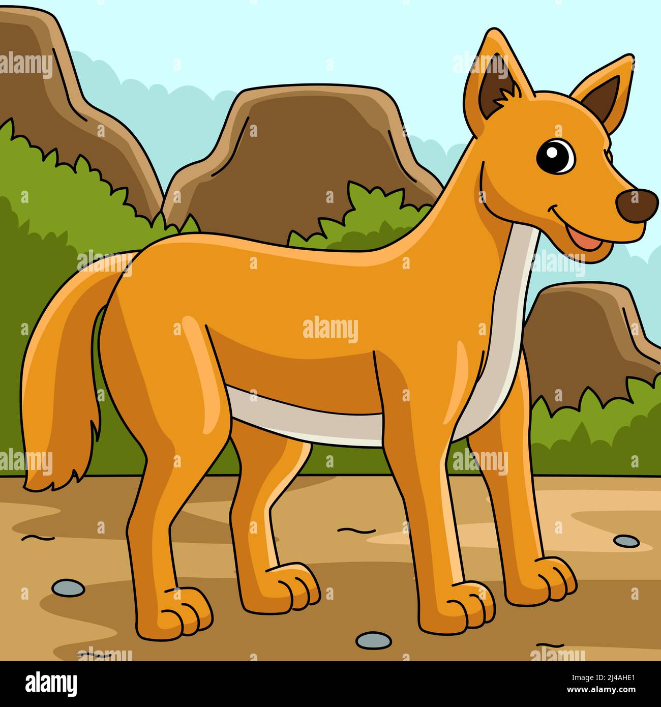 Dingo Poster Print / Infographic