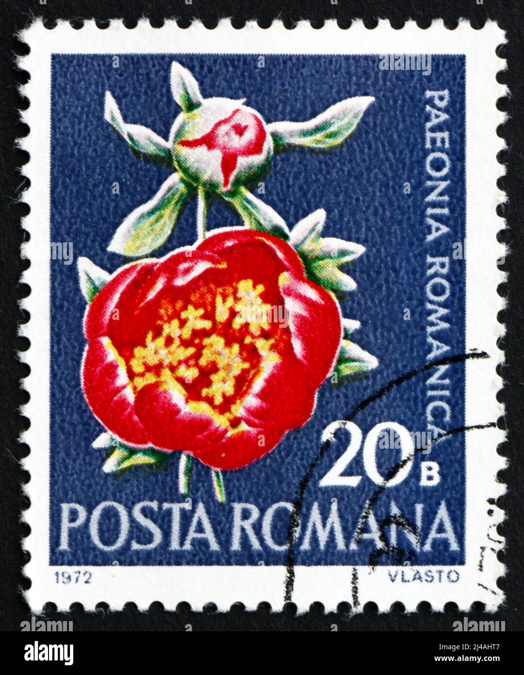 ROMANIA - CIRCA 1972: a stamp printed in the Romania shows Peony, Paeonia Peregrina var. Romanica, Flowering Plant, circa 1972 Stock Photo