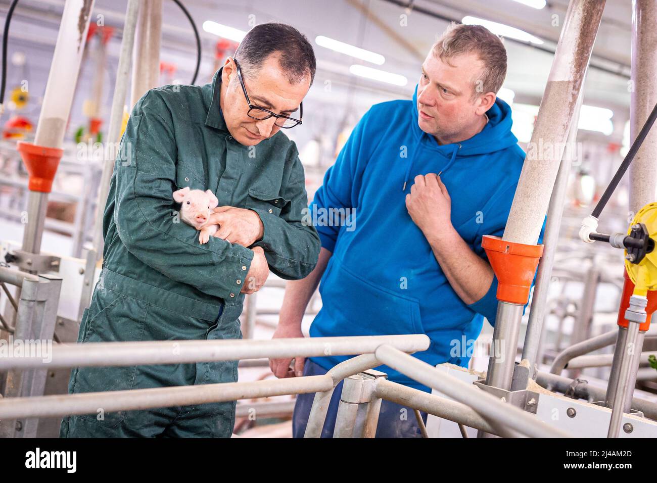 Bergen, Germany. 13th Apr, 2022. Cem Özdemir (l, Bündnis 90/Die Grünen),  Federal Minister of Food and Agriculture, talks to Jan-Hendrik Hohls,  farmer, while holding a piglet in his hands during his visit
