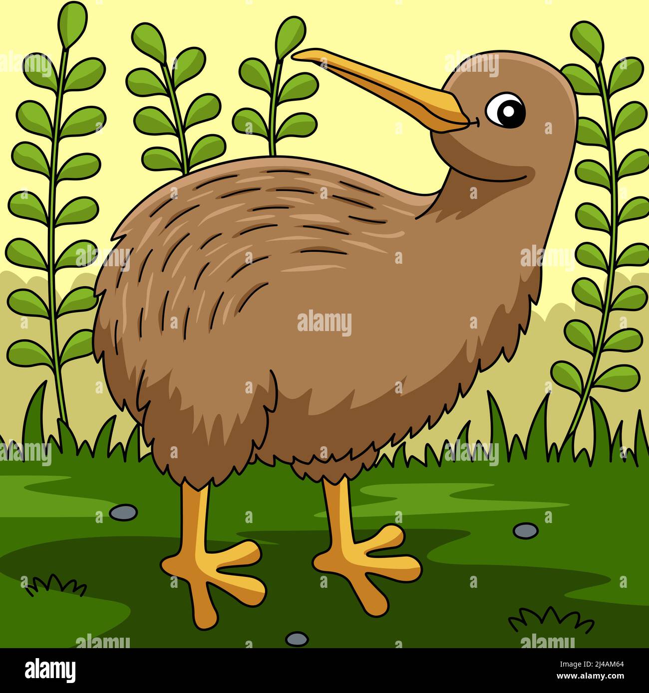 Kiwi bird doodle hi-res stock photography and images - Alamy