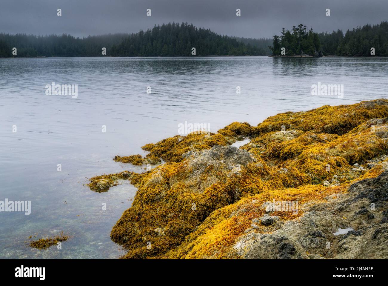 Beach and coastline in the Broken Group Islands, off the west coast of