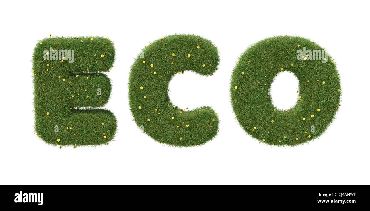 Word 'eco' made of realistic grass with dandelions. Isolated on white background. 3D image Stock Photo