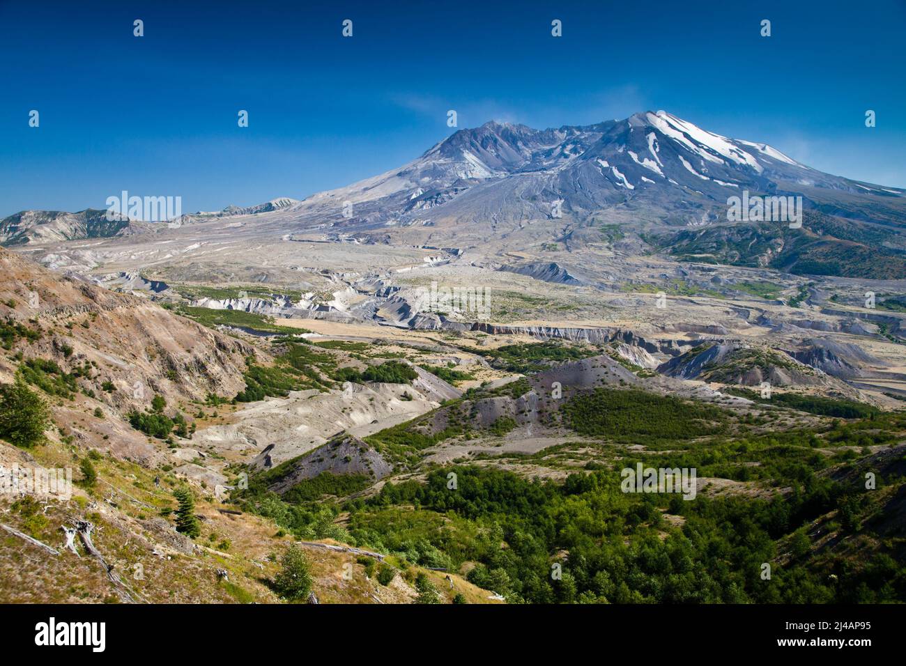 The volcano Mount Saint Helens in Washington, USA Stock Photo