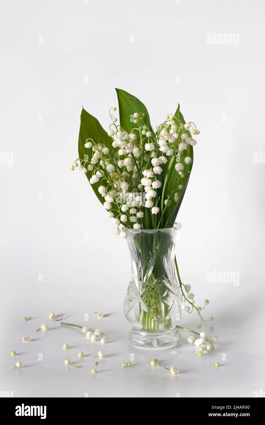 Vase beautiful lily valley hi-res stock photography and images - Alamy