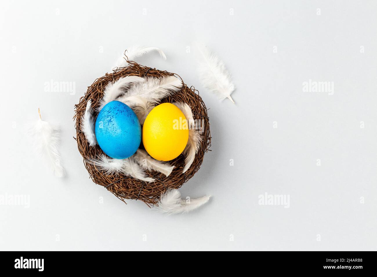 Ukrainian Easter Eggs painted Blue and Yellow in the nest with feathers ...