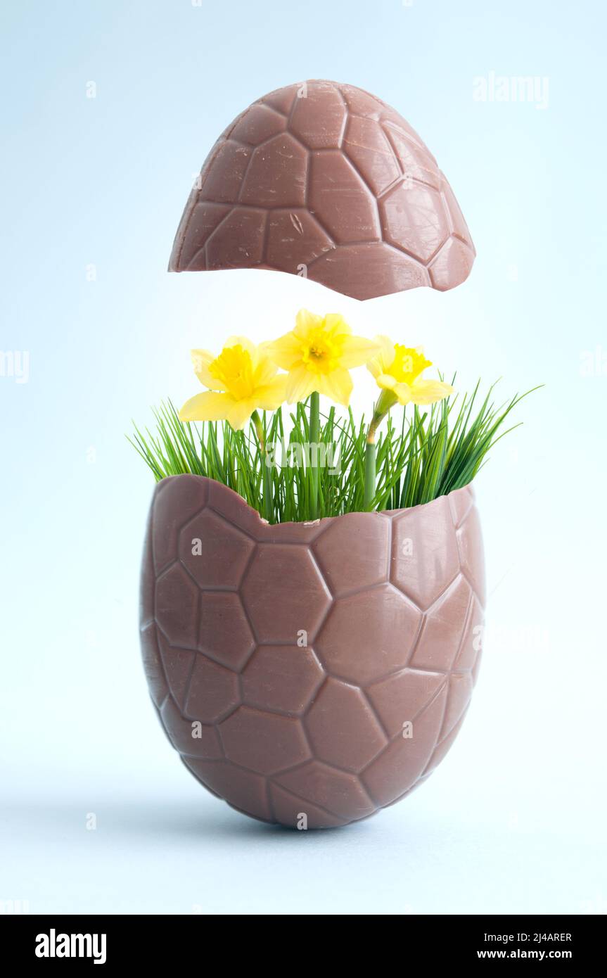 Open chocolate easter egg with spring burst of flowers growing inside Stock Photo