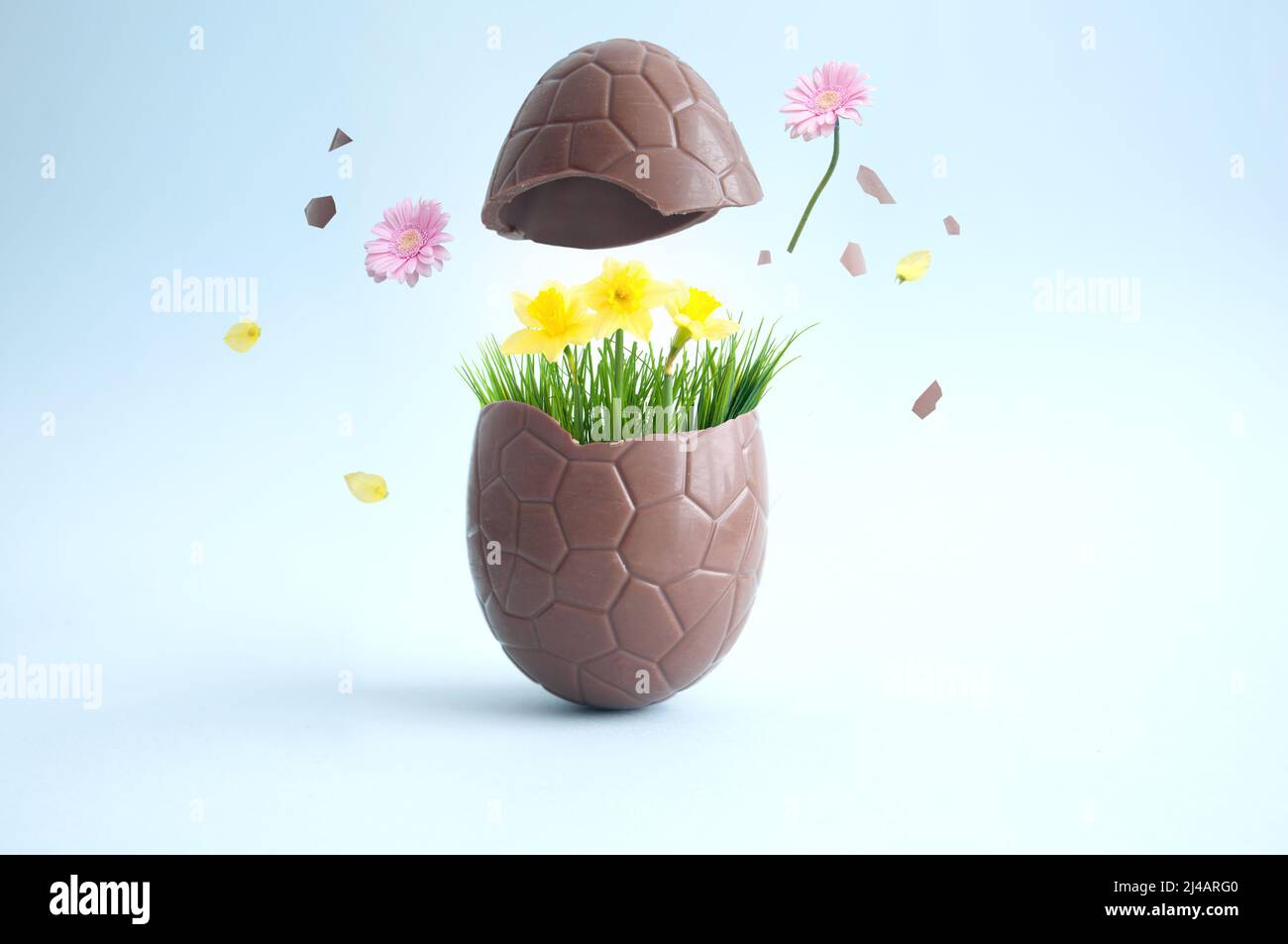 Chocolate easter egg cracking open with explosion of spring flowers Stock Photo