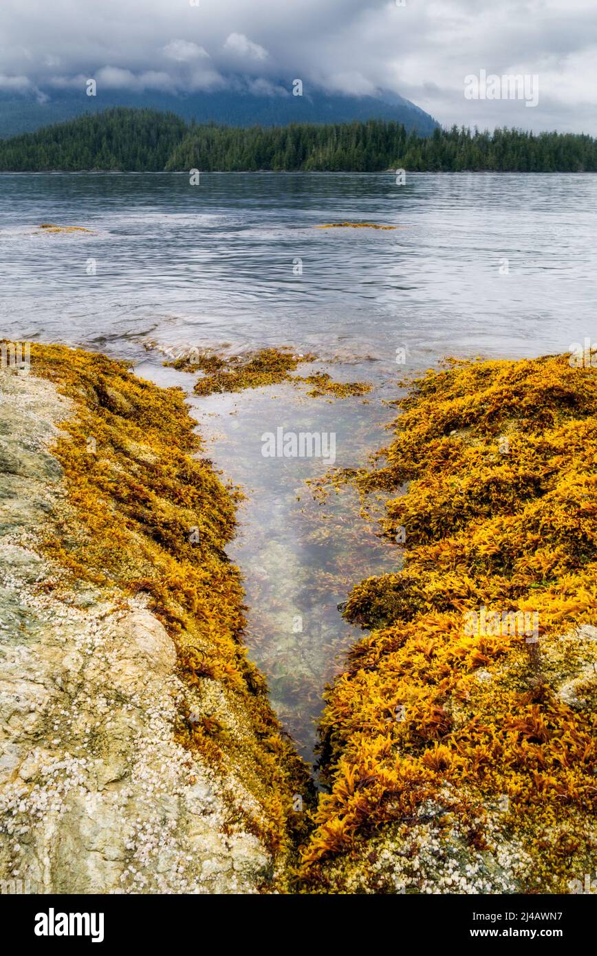 Kayaking vancouver island hires stock photography and images Alamy