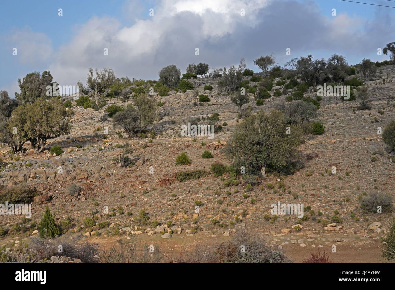 Vegetated Rocks Vegetated hi-res stock photography and images - Alamy