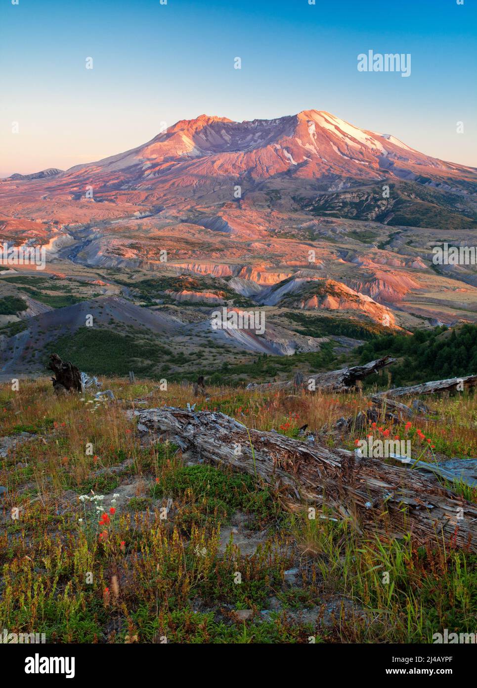Mount st helens eruption adams hi-res stock photography and images - Alamy